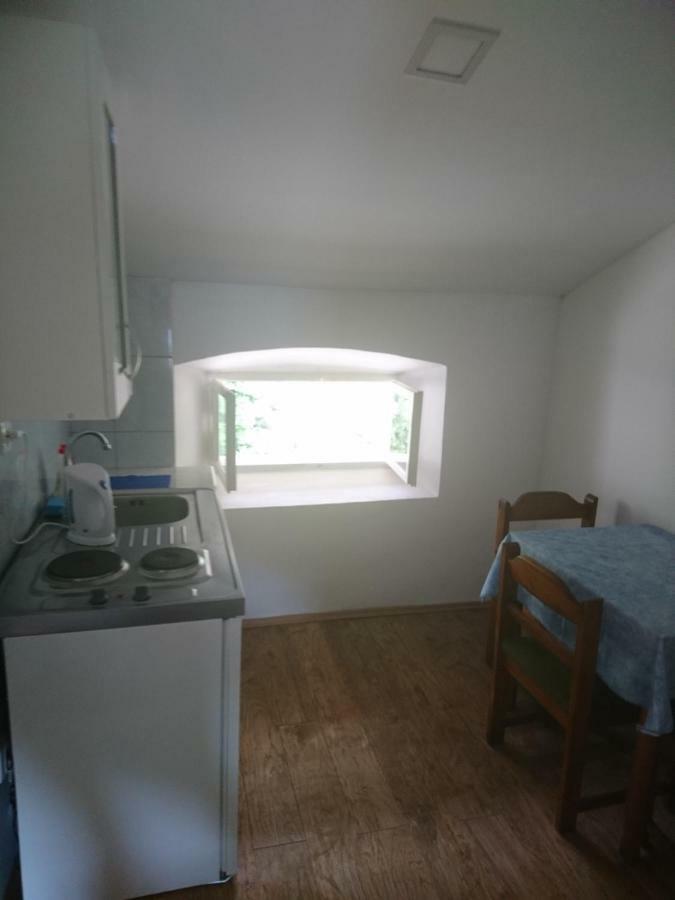 Apartment Dalmatinac Ivo Polace Ngoại thất bức ảnh